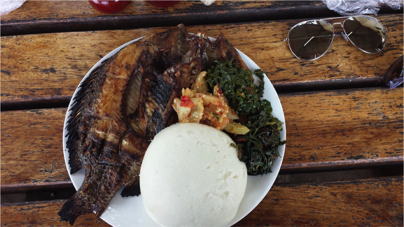Mlimba Fish Episode 26: Nancy Kula on Researching Bemba Phonology in Zambia – Field ...